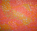 Pintura 33. <em>Foto: </em>